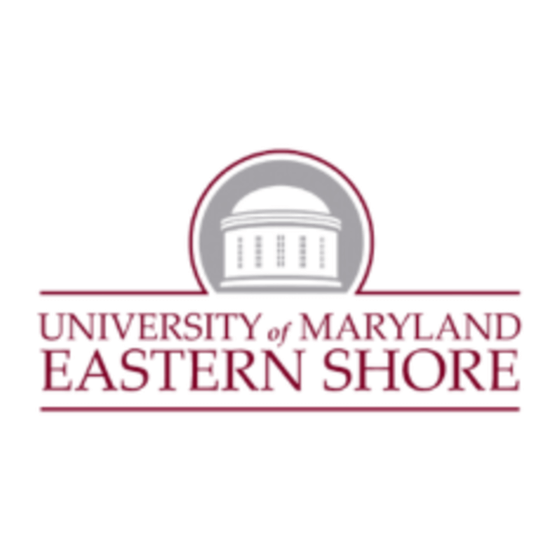 UMES web logo 