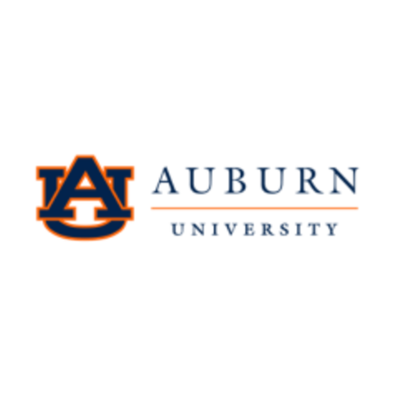 auburn 