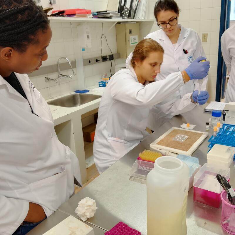 international lab