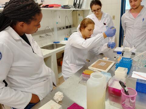 international lab